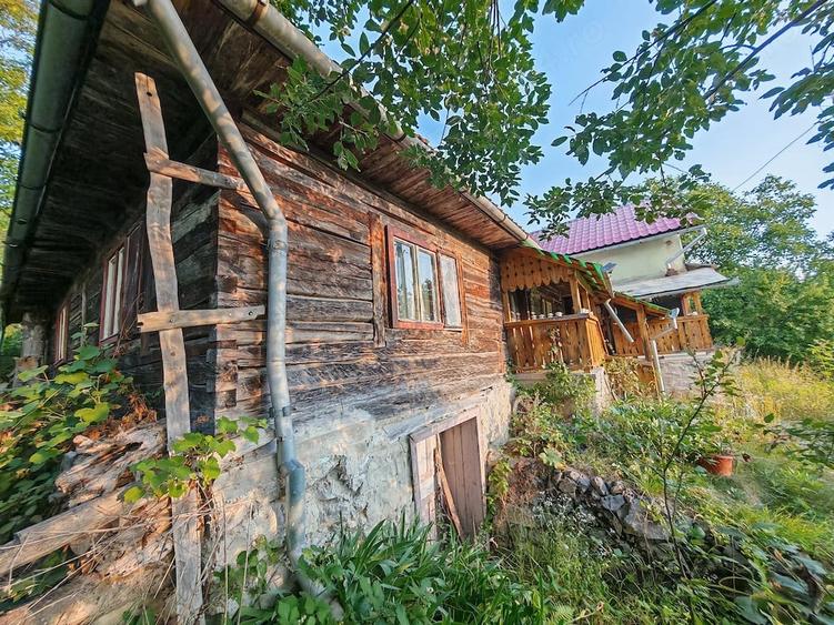 Vand ansamblu locuin?a vacanta - permanenta in zona retrasa- iidilica - 1