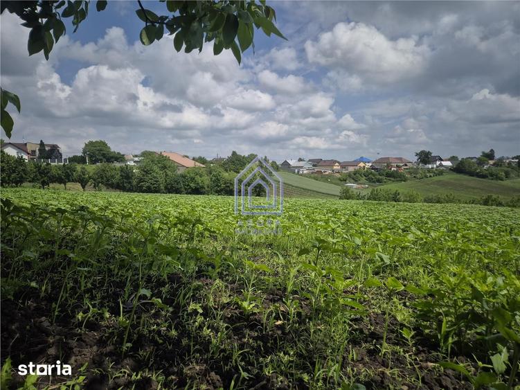 Teren intravilan Moara Nica - zona Scolii - 8