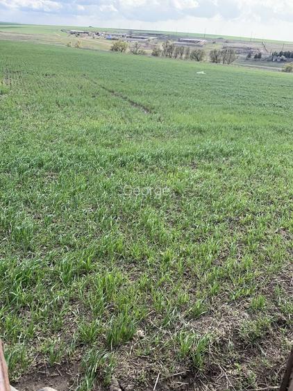 Vand 3,75 ha la drumul national