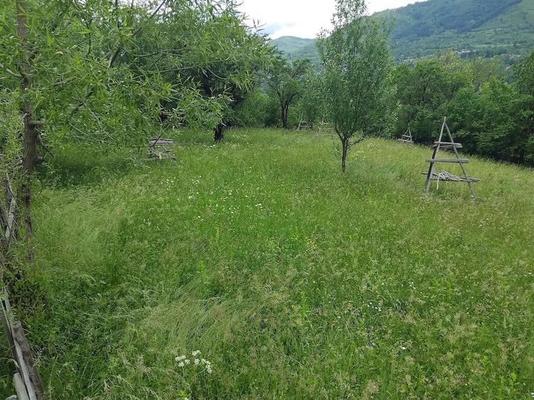 Teren de 1200 mp, în Valea Doftanei