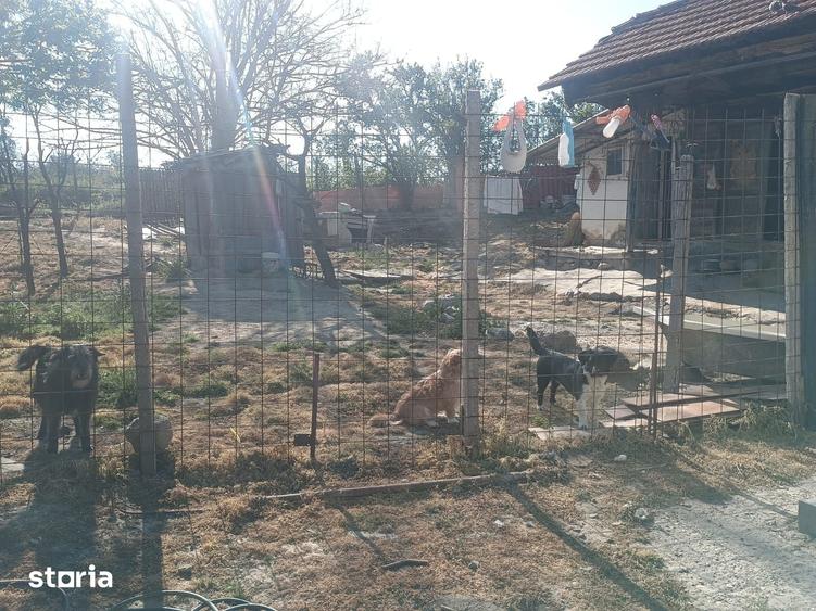 Casă cu 4 camere cu Teren 2476 Mp în Poșta Câlnău