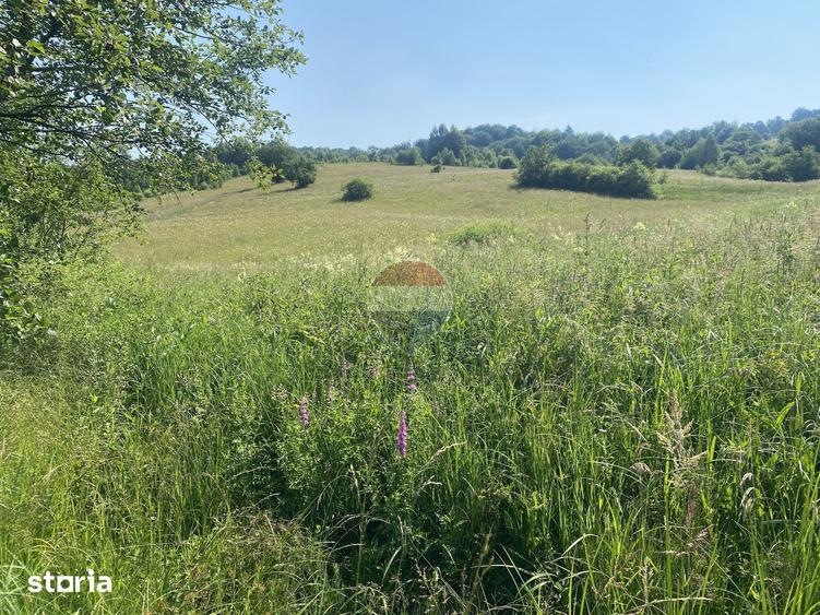 Teren de 4306 mp, în Vama Buzăului