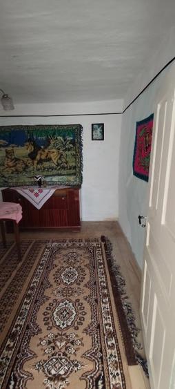 Casă de vânzare pe Valea Nehoiului, Orașul Nehoiu, Județul Buzău - 10