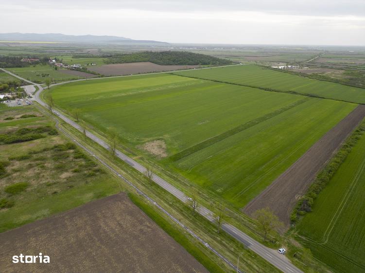 Teren de 22500 mp, în Ineu