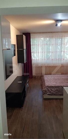 Garsonieră în Țiglina 1