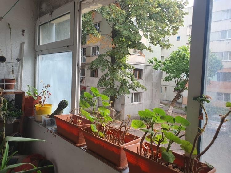 Apartament cu 3 camere decomandat, mobilat în 9 Mai