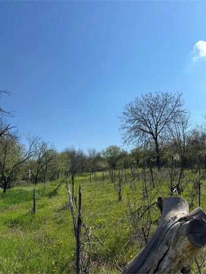 Casă cu Teren 2000 Mp în Valea Fetei