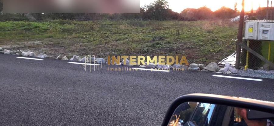 Teren Construcții intravilan de 3000 mp, în Cetate