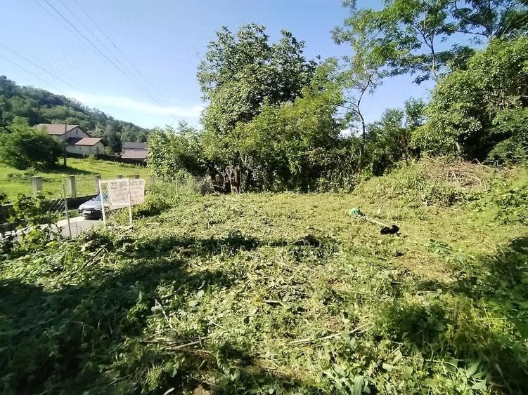 Teren de 5100 mp, în Valea