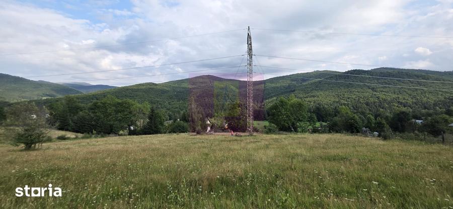 Teren intravilan de vanzare 3500 mp in Valea Doftanei - 2