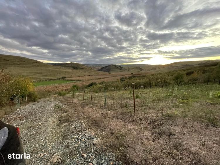 Teren de 833 mp, în Apahida
