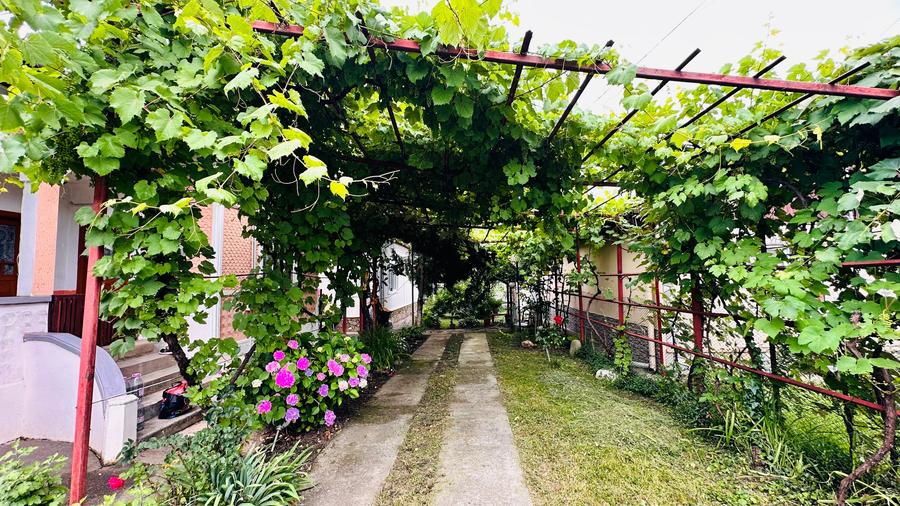 Casă individuală cu 4 camere cu Teren 1800 Mp în Homorâciu