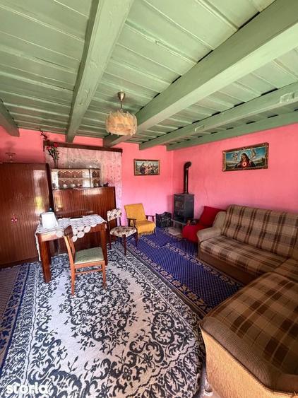 Comision 0% I Casa individuala I Teren de 3252 mp I Arghis - 17