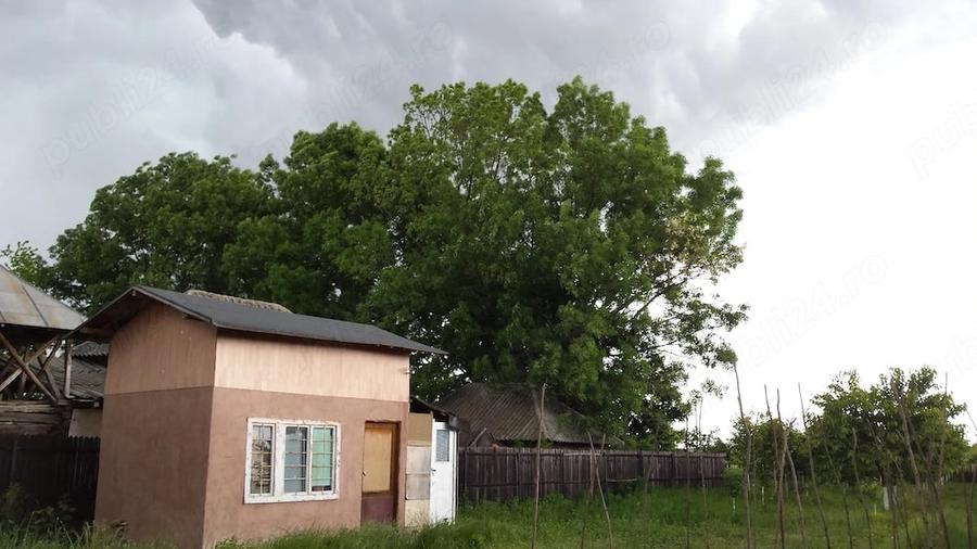 Teren de 5000 mp, în Colonești
