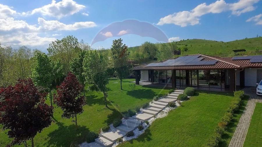 Casă individuală cu 10 camere cu Piscina în Făget