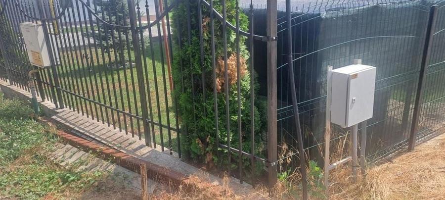 TEREN intravilan Balciu - MIROSLAVA , 709 MP, 77.990 EURO - 5