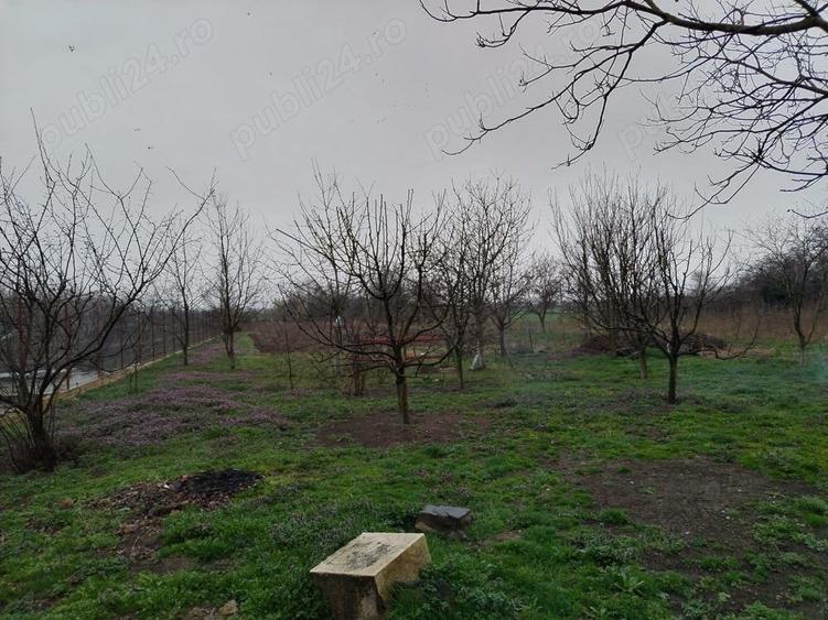 Casă cu 5 camere în Racovița