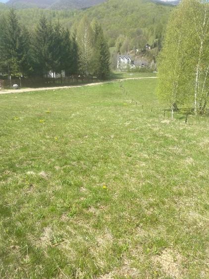 Teren de 800 mp, în Cheia