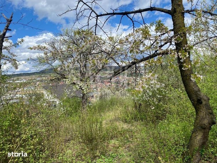 Spațiu comercial, în Gruia