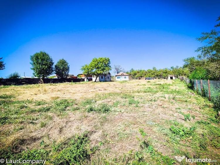 Casa, teren intravilan Negrasi Arges - 11