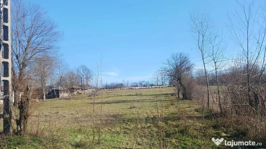 Teren în Gliganu de Sus
