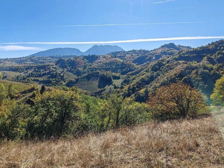 Teren de 10000 mp, în Poiana Mărului