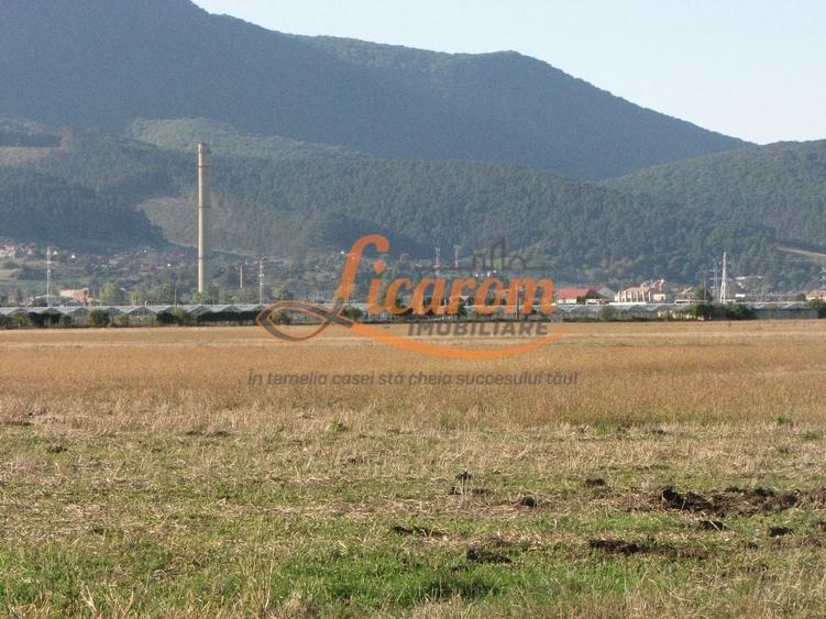 Teren Construcții intravilan de 240000 mp, în Exterior Est