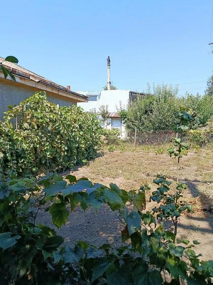 Casă cu Teren 450 Mp în Sârca