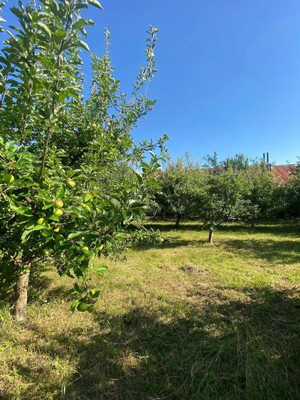 Teren de 750 mp, în Brebu