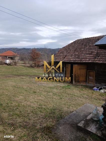 Casă cu 2 camere în Berința