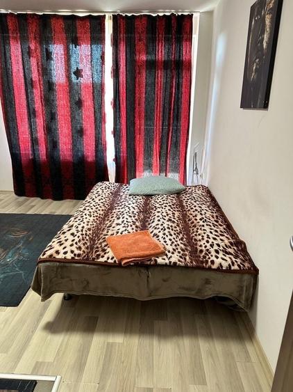Apartament cu 2 camere decomandat în Borhanci