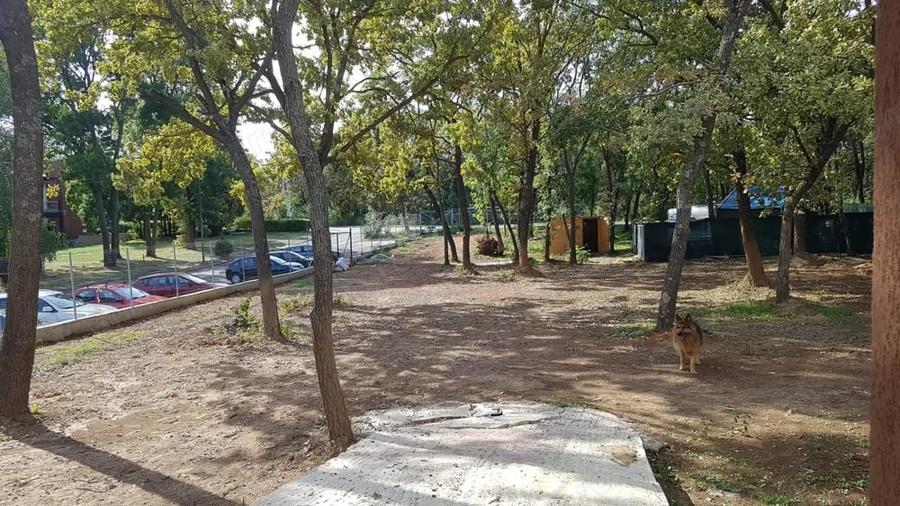 Teren de 950 mp, în Central