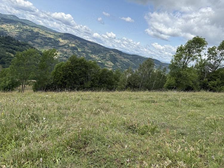 Teren de 5000 mp, în Năpăiești