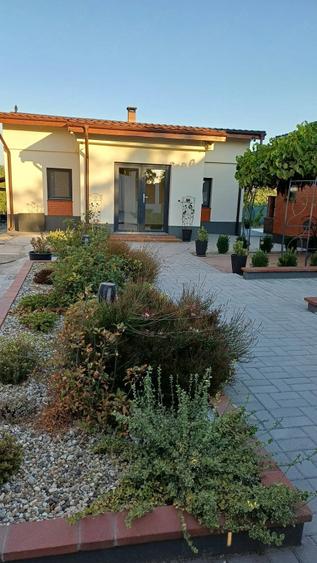 Casă cu Teren 3311 Mp în Ianova