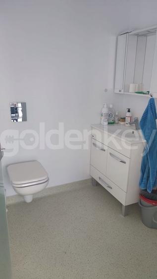 Spațiu comercial, de 60 mp, în Herăstrău