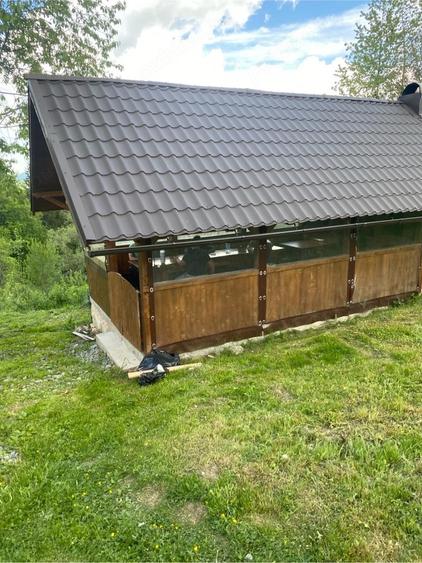 Casă cu Teren 2000 Mp în Sohodol