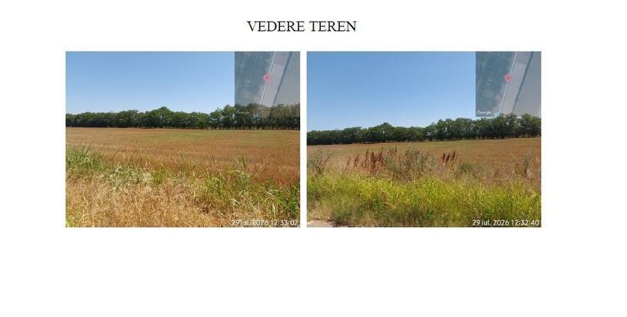 Teren de 2004 mp, în Coteana