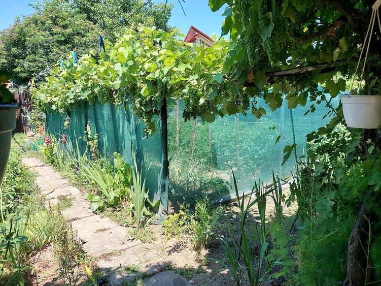 Casă cu 4 camere cu Teren 420 Mp în Central