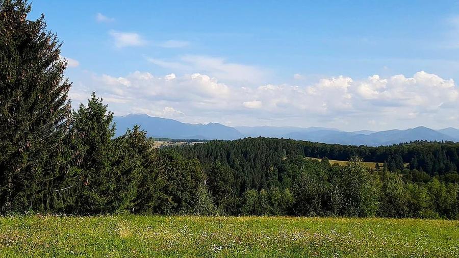 Teren Construcții intravilan de 11600 mp, în Poiana Mărului