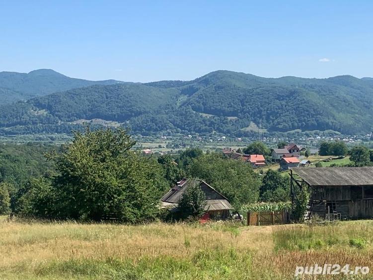 Teren de 10000 mp, în Alexandru cel Bun