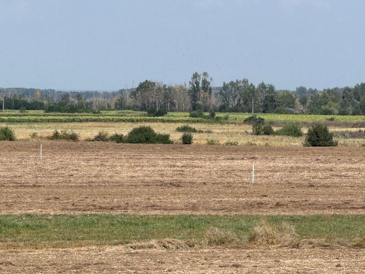 Teren agricol extravilan de 30000 mp, în Uliești