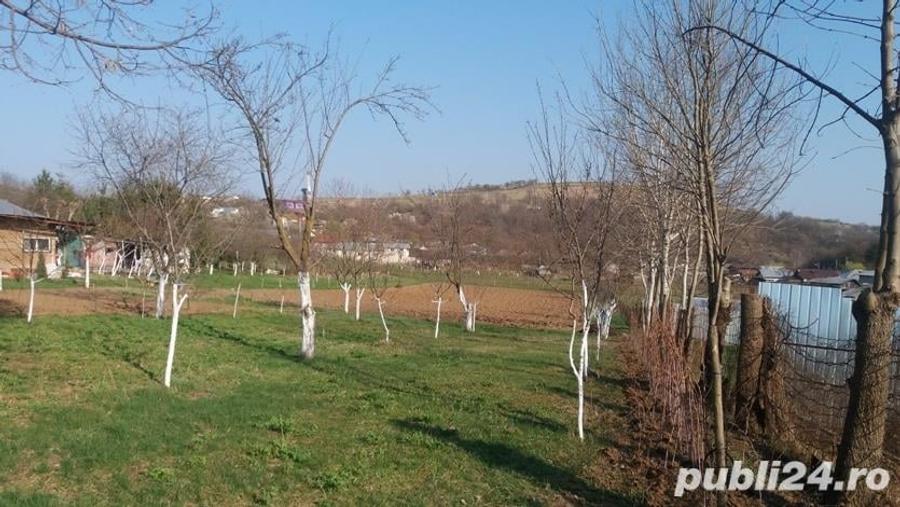 Teren de 2200 mp, în Central