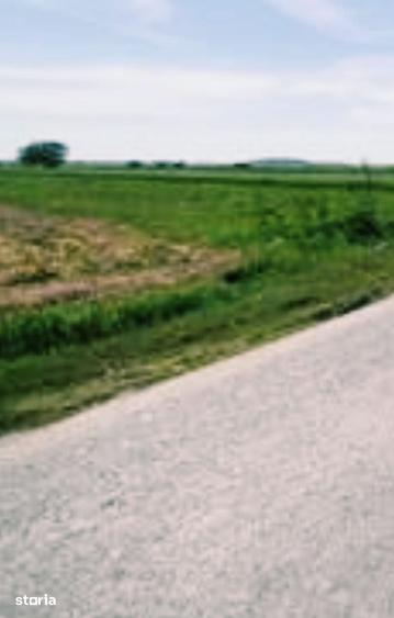 Teren de 12000 mp, în Dărăști-Ilfov