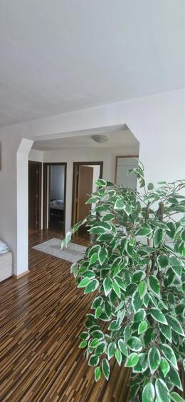 Casă cu 3 camere cu Teren 300 Mp în Lilieci