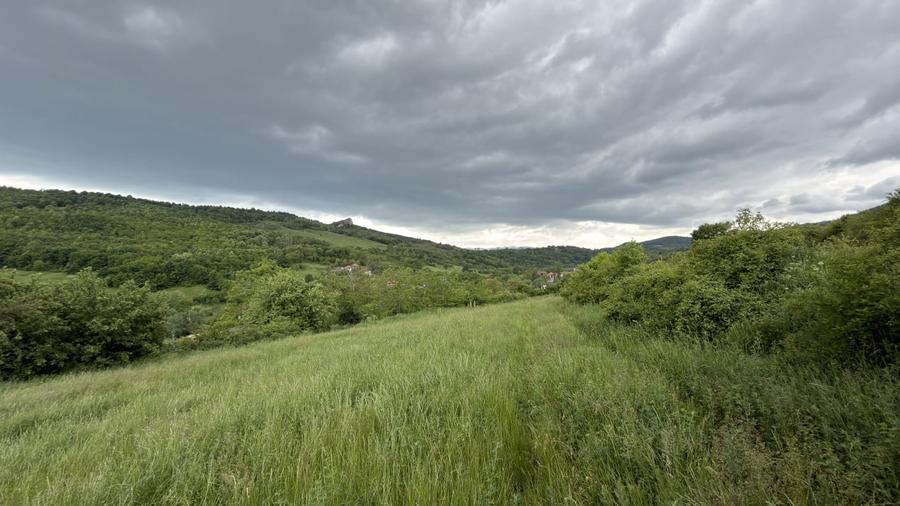 Teren agricol extravilan de 4000 mp, în Ampoița