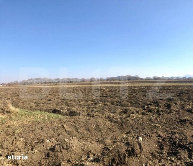 Teren de 10000 mp, în Dârste