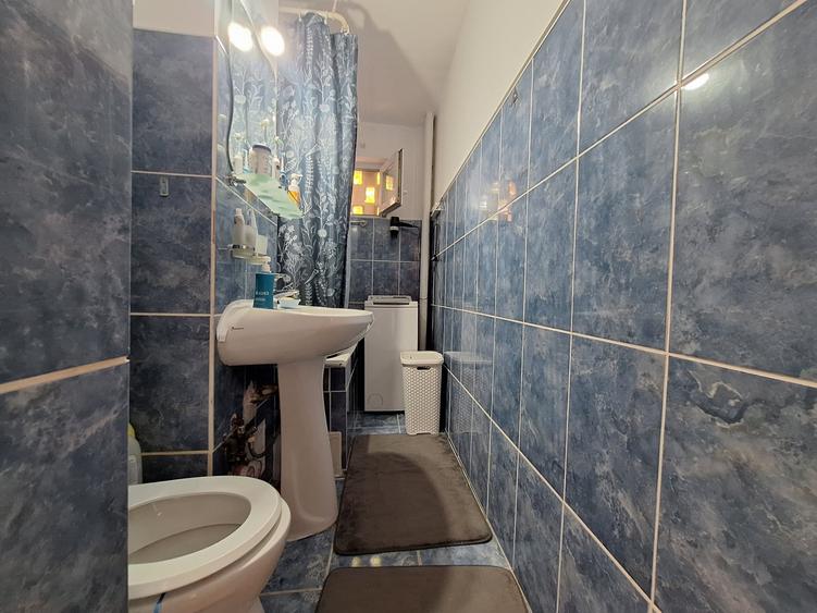 Apartament cu 2 camere nedecomandat, mobilat în Șagului