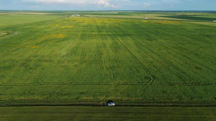 Teren agricol extravilan de 41225 mp, în Dumbrava