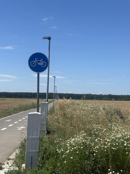 Teren intravilan de vanzare, 35000 mp cu deschidere la padure, Buftea - 3
