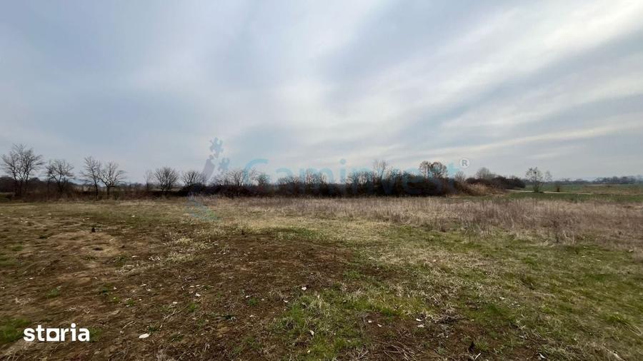 Teren de 5700 mp, în Podgoria